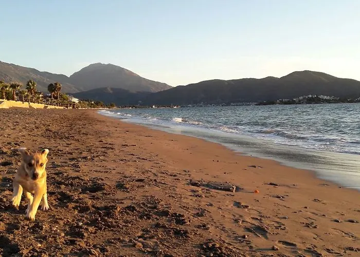 Hotel Hera Beach Hotel Gcr