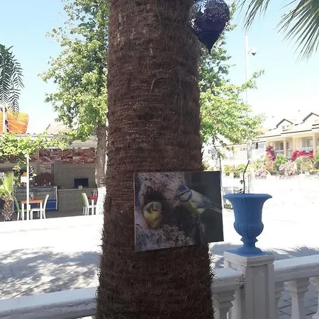 酒店 Hera Beach Hotel Gcr *