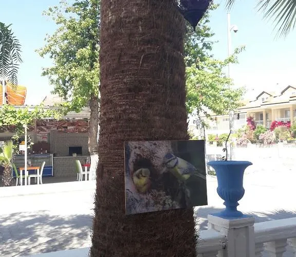 酒店 Hera Beach Hotel Gcr *